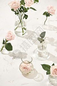 粉红色背景的花瓶里有美丽的玫瑰花朵 为妇女节或母亲节贺卡 花束 女性的图片