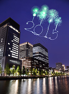 2015年新一年的烟花在东京市风景上庆祝图片
