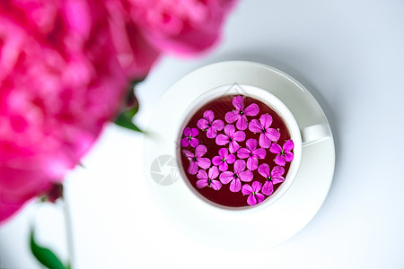 明亮的桌子上有粉色牡丹花和一杯茶的创意布局 春季季节性情人节 女人 母亲 3 月 8 日假期 浪漫早餐 时尚博主 问候卡 投标 图片