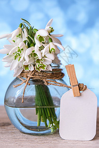 带水的玻璃花瓶中的雪滴包 复制文本空间 早期春花 装上标签 材料 户外图片