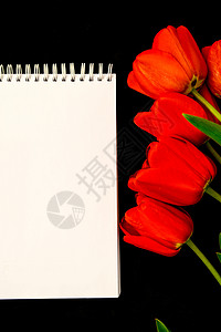 白色空白吊唁卡 黑色背景上有红色郁金香 鲜花 文字空空位置 多于 问候语背景图片