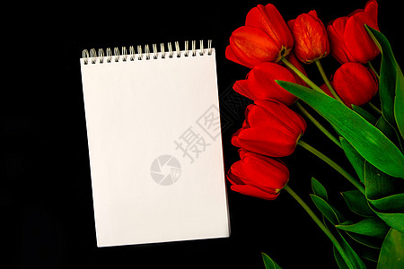 白色空白吊唁卡 黑色背景上有红色郁金香 鲜花 文字空空位置 母亲 礼物背景图片