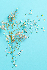春花成分 花朵在面贴蓝色背景上 平底 顶视图 复制空间图片