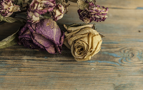 在旧旧木板上干枯玫瑰 老的 木头 乡村 花瓣 礼物图片