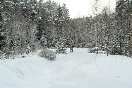 山河的冬季风景 在雪中 在森林周围 圣诞节 美丽的图片