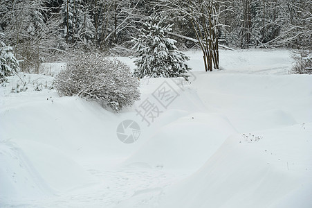 山河的冬季风景 在雪中 在森林周围 霜 冬季森林图片