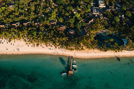 在毛里求斯岛美丽的海滨沙滩上 从毛里求斯岛的鸟瞰图拍摄 棕榈 旅行图片
