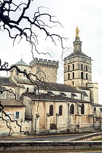 法国古老的阿维尼翁镇教皇宫 历史 建筑学 旅行 宗教图片