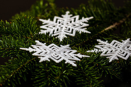 圣诞节和新年概念 圣诞节装饰背景; 针叶 冬天图片