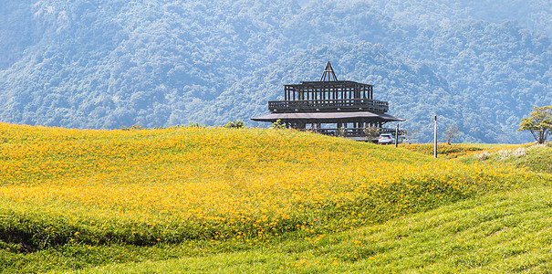 60岩山 Liushidan山 上美丽的橙色日光花田 蓝天空和云彩 Fuli Hualien 台湾 关闭 复制空间 蓝色的 百合图片