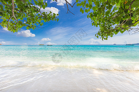 美丽的沙滩 波浪在斯米兰群岛的沙滩上撞击 泰国斯米兰国家公园美丽的热带海斯米兰岛 4 号 海岸 支撑图片