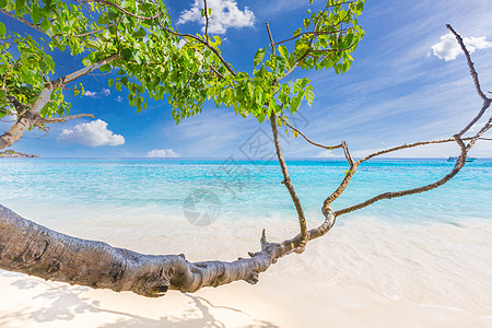 美丽的沙滩 波浪在斯米兰群岛的沙滩上撞击 泰国斯米兰国家公园美丽的热带海斯米兰岛 4 号 帆船 安达曼图片