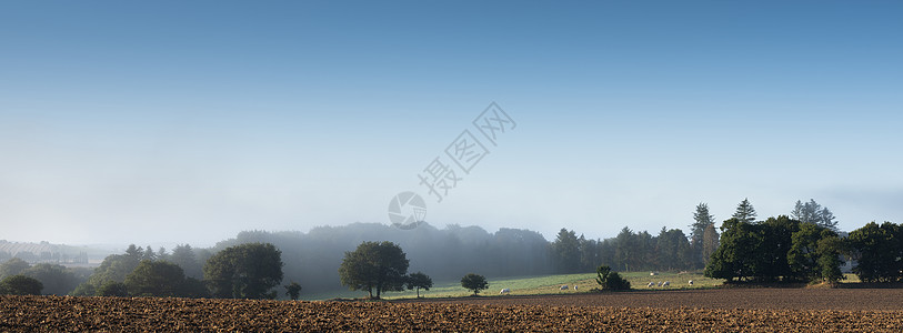 日夏初薄雾夏季清晨法国法郎中央布赖塔尼农村农村地貌 安静的 假期法国图片