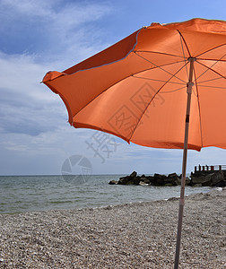 在阳光明媚的白天 橙色海滩雨伞靠近海边图片