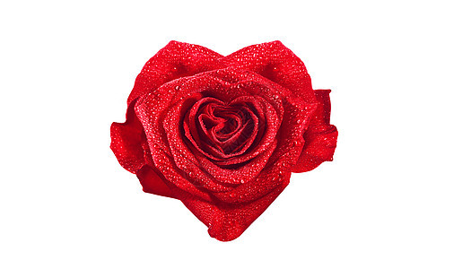 美丽的红玫瑰 在圣情人节前的祝贺性背景 周年纪念日图片