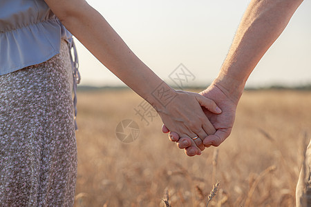 一对在日落时握手的情侣 是爱与幸福的象征 女孩 新娘图片