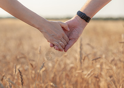 一对在日落时握手的情侣 是爱与幸福的象征 老的 美丽的图片