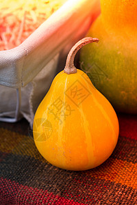展示中的梨形小黄南瓜 雕刻 假期 未切割 成熟图片