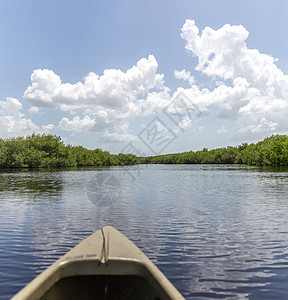 美国Everglades国家公园的Kayaking 河 水图片
