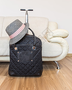 手提箱和帽子 稻草 行李 时尚 粉色的 假期 沙发图片
