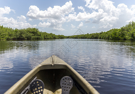 美国Everglades国家公园的Kayaking 皮划艇 运动图片