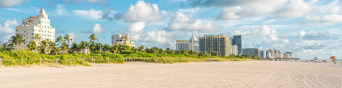 迈阿密南海滩的Art deco区 这些建筑物周围都是热带棕榈树 晴天 城市图片