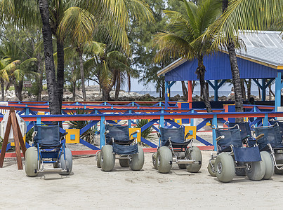 轮轮椅 空的 棕榈 海洋 海 机动性 健康 公园 运输 水图片