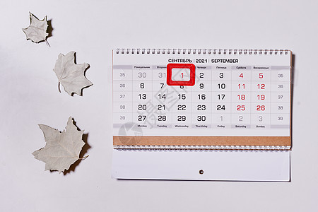 9月2021日 每月日历和秋假 1年9月 白色的 时间图片