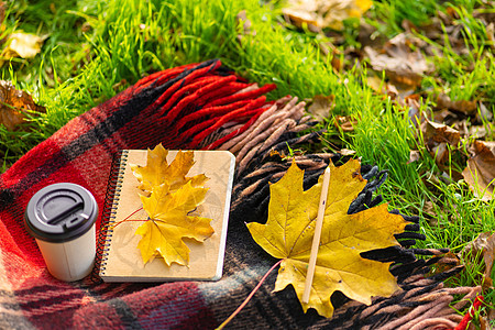 秋天公园里有暖暖的毯子和咖啡喝的休闲娱乐 秋季情绪和思想状态 马克杯 格子图片
