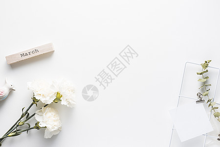 手绘康乃馨月用康乃馨花纸题词 高品质美丽的照片概念背景
