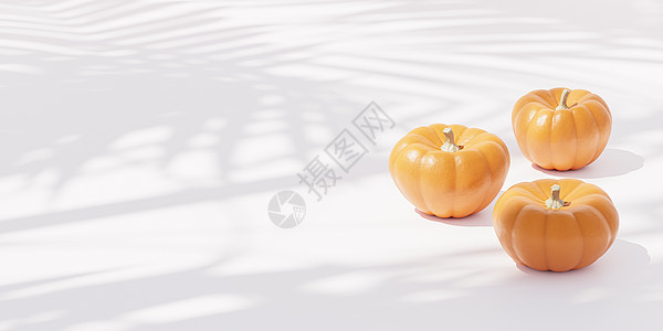 白色背景的南瓜 用于秋季假期或 sales3d 横幅广告图片