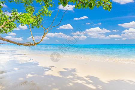 泰国斯米兰岛美丽的热带海斯米兰岛 美丽的沙滩 海浪拍打在沙滩上图片