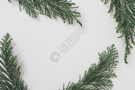 绿色的树枝白色的桌子 高品质照片图片