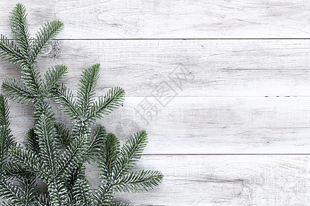 圣诞 新年 木板上的火 树 木制的 针叶 绿色的图片
