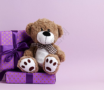 棕褐色可爱泰迪熊和包着纸条和丝带的盒子 放在紫色背景上 动物 坐着图片