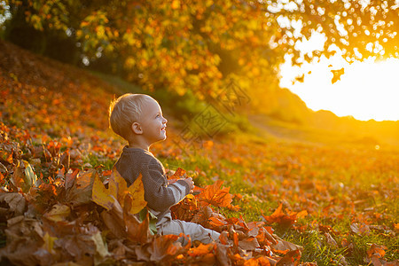 漂亮的小男孩在美丽的秋天风景背景上放松 在秋天的公园里散步很有趣 生活方式捕捉 田园温馨的景象 快乐的小男孩在秋天的公园里玩落叶图片