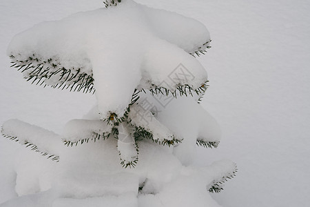 温泉上覆满了雪 自然冬天背景图片