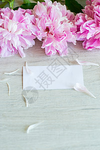培训机构几枝盛开的粉色牡丹在木桌上 桌子 小样 花瓣背景