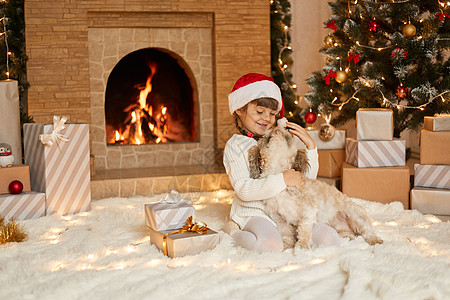 圣诞节前夕 快乐的女孩在家里和她最喜欢的宠物玩耍 穿着休闲装和圣诞老人帽 孩子看着小狗 在装饰精美的客厅里铺着柔软的白色地毯图片