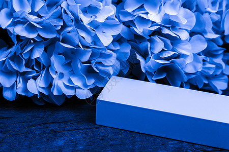 礼物或现物盒和鲜花 以时髦的经典蓝色颜色图片