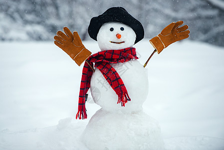 戴着帽子和围巾的雪人在冬季室外 雪人戴着毛皮帽子和围巾 与雪人的圣诞节背景图片