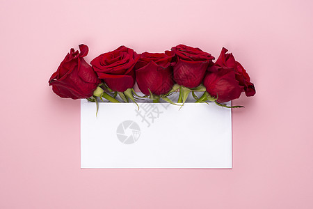 邀请派对或婚礼邀请 红玫瑰花花安排 有空白卡 浅粉红色背景图片
