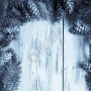 白色破旧的圣诞边框 松树 装饰品 框架 自然 树 针叶图片