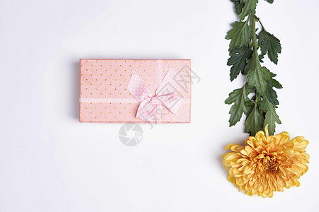 粉色盒子花束装饰节日生日浅色背景 纸 春天图片