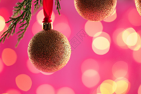 金艳猕猴桃面对模糊的园林光辉煌的圣诞胸围背景