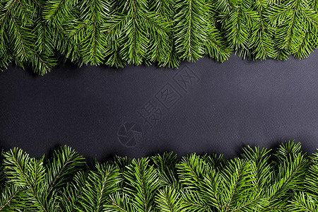 黑色背景与绿色杉树 美丽的 乡村 庆典 冬天 诺埃尔 枝条图片