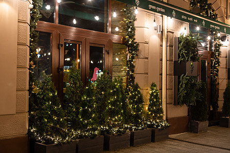 时尚的圣诞树 有红莓 门边花圈和木雪橇 在市街度假市场前店铺摆放 圣诞街头装饰品 文字空间 窗户 旅游图片