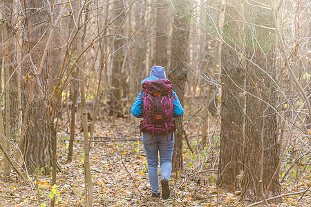 人与自然概念   旅行妇女走在森林中 背视 户外 背包图片