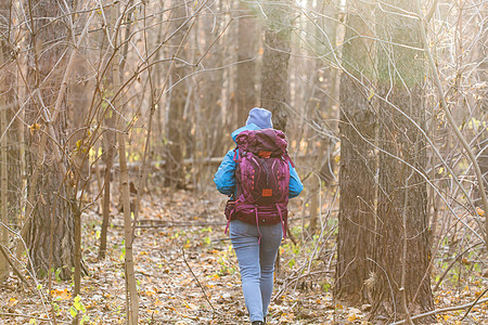 人与自然概念   旅行妇女走在森林中 背视 远足 夹克背景