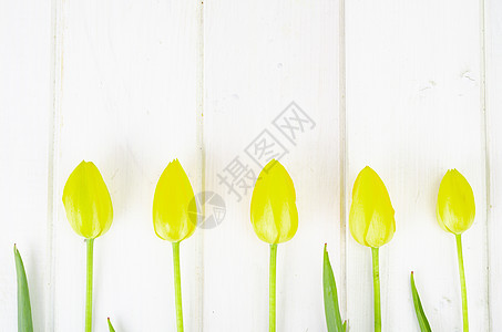 白色木制桌上的鲜菜园多彩色新花朵郁金香图片